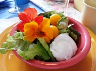 Book Club (Mary's) - roast vegetables, bacon, salad greens, edible flowers, poached egg